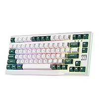 Mechanical Gaming Keyboard, Wireless RGB Backlit 75% Computer Keyboard, Clicky Blue Switch Hot Swappable, PBT Keycaps, NKRO Anti-Ghost, Bluetooth 5.0 & 2.4GHz, Compatible with PC Laptop iPad, White