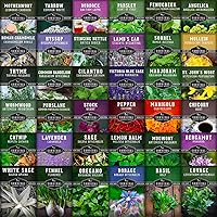 Ultimate Medicinal Herbs Collection - 36 Variety Pack of Herb Seeds for Growing Essential Healing Plants - Mixed Assortment for Homesteaders - Non-GMO Heirloom Varieties - Survival Garden Seeds