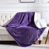 Waterproof Blanket for Bed Couch Sofa, Soft Liquid Pee Proof Pet Blanket for Dog Puppy Cat, Reversible Sherpa Fleece Blanket for Furniture Protector (Dark Purple, 60x80 inches)