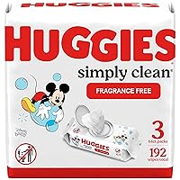 Huggies Simply Clean Fragrance-Free Baby Wipes, 3 Flip-Top Packs (192 Wipes Total)
