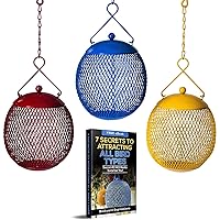 Backyard Expressions - Set of 3 Squirrel Proof Bird Feeders for Outside - Bonus Ebook and Bird Attraction Audio Included - Squirrel Resistant Bird Feeders