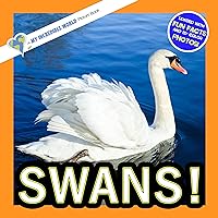 Swans!: A My Incredible World Picture Book for Children (My Incredible World: Nature and Animal Picture Books for Children)