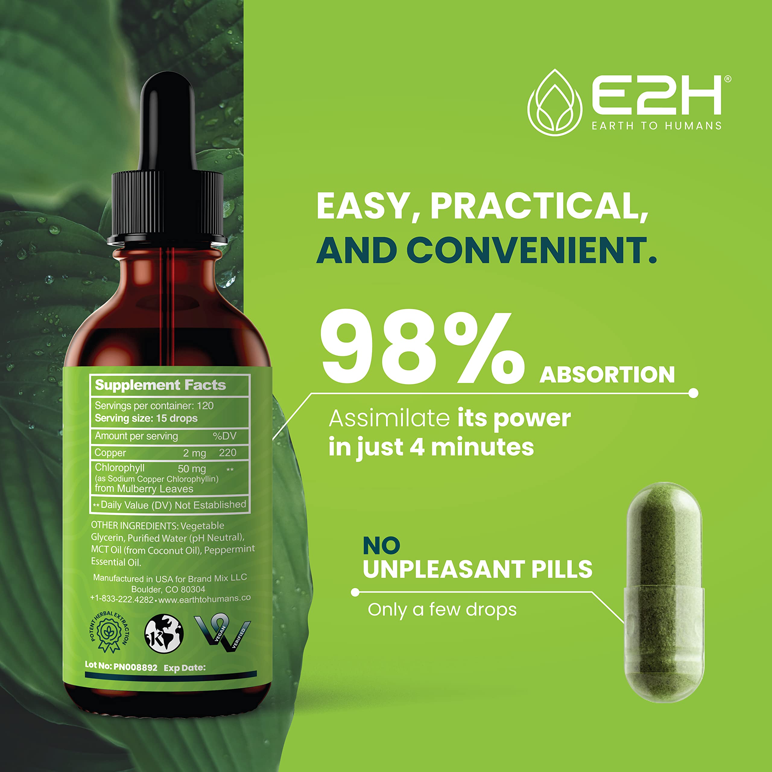 E2H: Liquid Chlorophyll Natural Flavor and Peppermint Flavor | Vegan, Non-GMO - 2 Fl Oz Each (4 Fl Oz Total) - Bundle