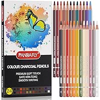 Sunshilor Professional Charcoal Pencils Drawing Set - 12 Pieces Soft Medium  and Hard Charcoal Pencils for Drawing Sketching Shading Artist Pencils for  Beginners & Artists