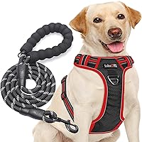 tobeDRI No Pull Harness Adjustable Reflective Oxford Easy Control Medium Large Dogs with A Free Heavy Duty 5ft Leash