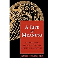 Life of Meaning Life of Meaning Paperback Kindle