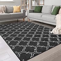 Chicrug Shag Geometric Modern Area Rug for Bedroom, 4x6 Feet Memory Foam Indoor Carpet, Fluffy Rug for Living Room Bedside Room Decor for Family Girls Kids Nursery Play Mat, Dark Grey/White