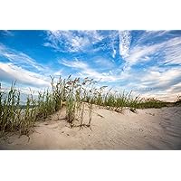 Coastal Photography Print (Not Framed) Picture of Sand Dunes and Sea Oats Along Beach in South Carolina Atlantic Coast Wall Art Beach House Decor (11