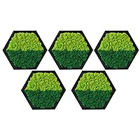 LVZHIHUAN Moss Wall Art Preserved Moss Honeycomb Hexagon 8