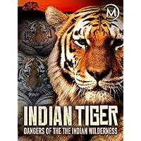 Indian Tiger: Dangers of the Indian Wilderness