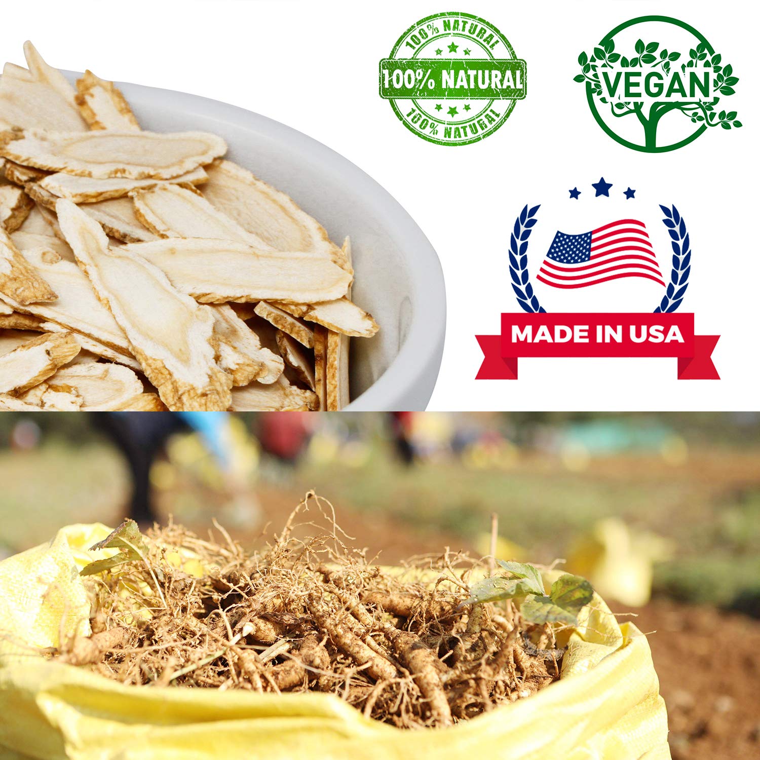DABC OAK LAND American Ginseng Slices from Wisconsin (Sliced Ginseng Root Wisconsin Grown!Most People Use It to Make Ginseng Tea! Good for Health! 花旗参片/西洋参片 （Sliced Ginseng Root） 113g/Bag