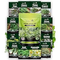 NatureZ Edge 12 Herb Seeds Variety Pack, 6000+ Heirloom Seeds for Planting Hydroponic Indoor or Outdoor Home Garden Plant Seed, Parsley, Cilantro, Basil, Thyme, Chamomile, Oregano, Dill & More NonGMO