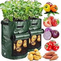 2 Pack 10 Gallon Garden Potato Grow Bags with Flap and Handles Aeration Fabric Planter Pots, Heavy Duty Potato Planters Garden Planting Bags for Onion, Fruits, Tomato, Carrot (Green)