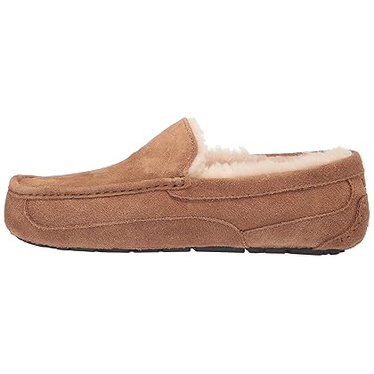 UGG Men's Ascot Slipper