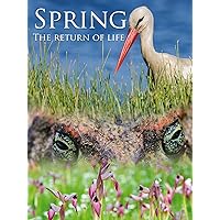 Spring - The Return of Life