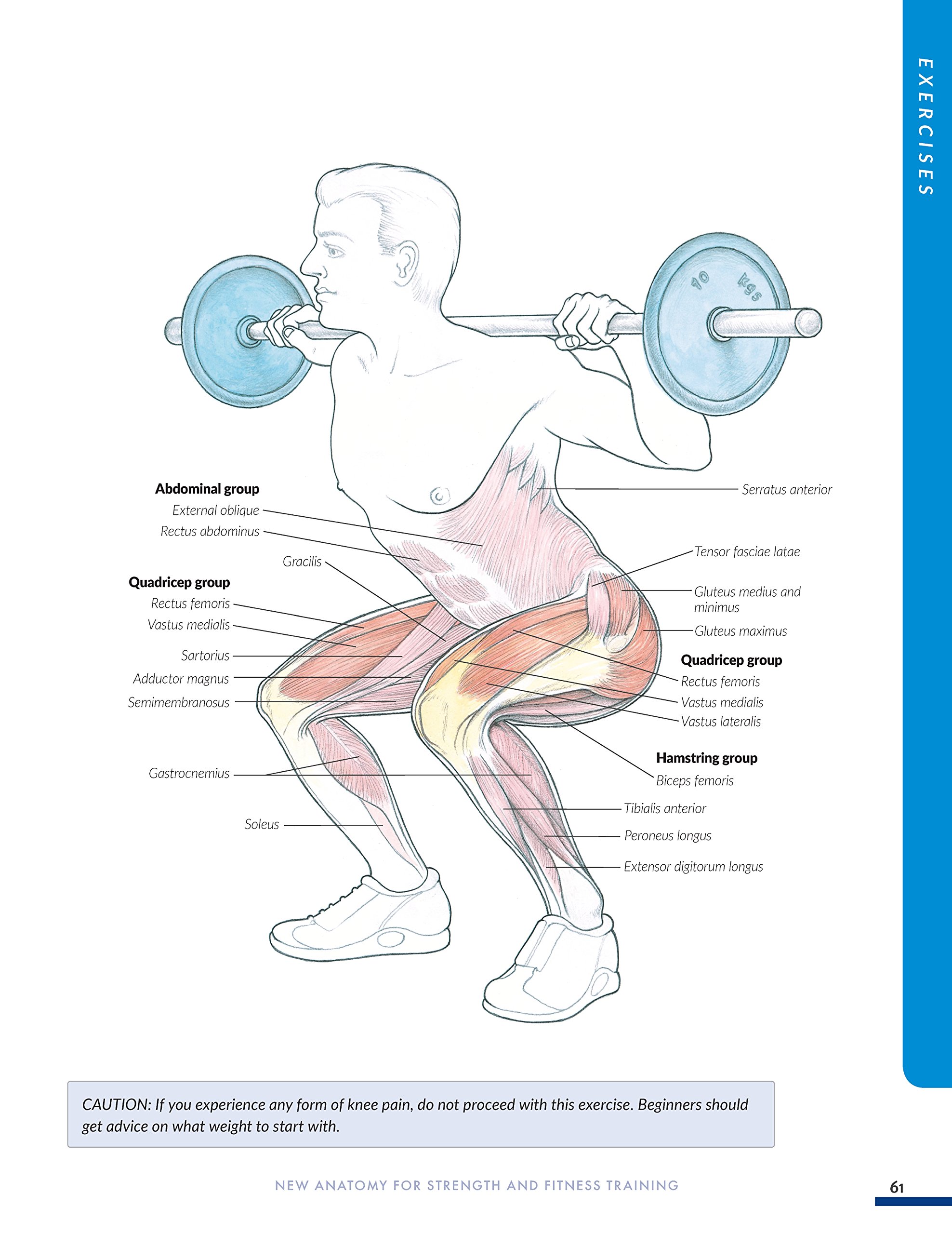 New Anatomy for Strength & Fitness Training: An Illustrated Guide to Your Muscles in Action Including Exercises Used in CrossFit (R), P90X (R), and Other Popular Fitness Programs (IMM Lifestyle Books)
