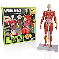 Interactive Human Body - 60 Piece Fully Poseable Anatomy Figure – 14” Tall Model - Anatomy Kit – Removable Muscles, Organs,Bones STEM Toy – Ages 8+