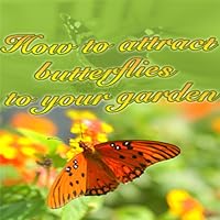 How To Attract Butterflies To Your Gardens - Discover How Can Dramatically Increase The Number of Butterflies That Linger Around Your Beautiful Garden
