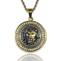 Men Women 925 Italy 14k Gold Finish Iced Round JUNGLE KING LION HEAD Ice Out Pendant Stainless Steel Real 2.5 mm Rope Chain Necklace, Men's Jewelry, Iced Lion Coin Pendant, Chain Pendant Rope Necklace