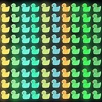 DULEFUN 200pcs Luminous Mini Resin Duck 10 Colors Little Small Ducks Glow in The Dark Duck Figures for Dollhouse Aquarium Decor Micro Fairy Garden Landscape Hide and Seek Prank Toys