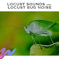 Locust Sound Effect
