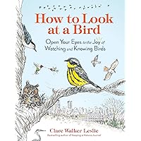 How to Look at a Bird: Open Your Eyes to the Joy of Watching and Knowing Birds How to Look at a Bird: Open Your Eyes to the Joy of Watching and Knowing Birds Paperback Kindle