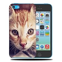 Adorable CAT Kitten Feline #37 Phone CASE Cover for Apple iPhone 5C