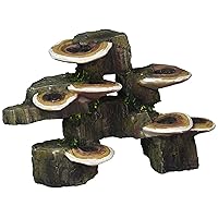 Deco-Replicas Tree Trunk with Shelf Mushrooms Aquarium Decoration – Safe for Freshwater and Saltwater Fish Tanks – Small