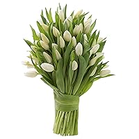 Blooms2Door PRIME NEXT DAY DELIVERY - 50 White Tulips .Gift for Birthday, Sympathy, Anniversary, Get Well, Thank You, Valentine, Mother’s Day Fresh Flowers