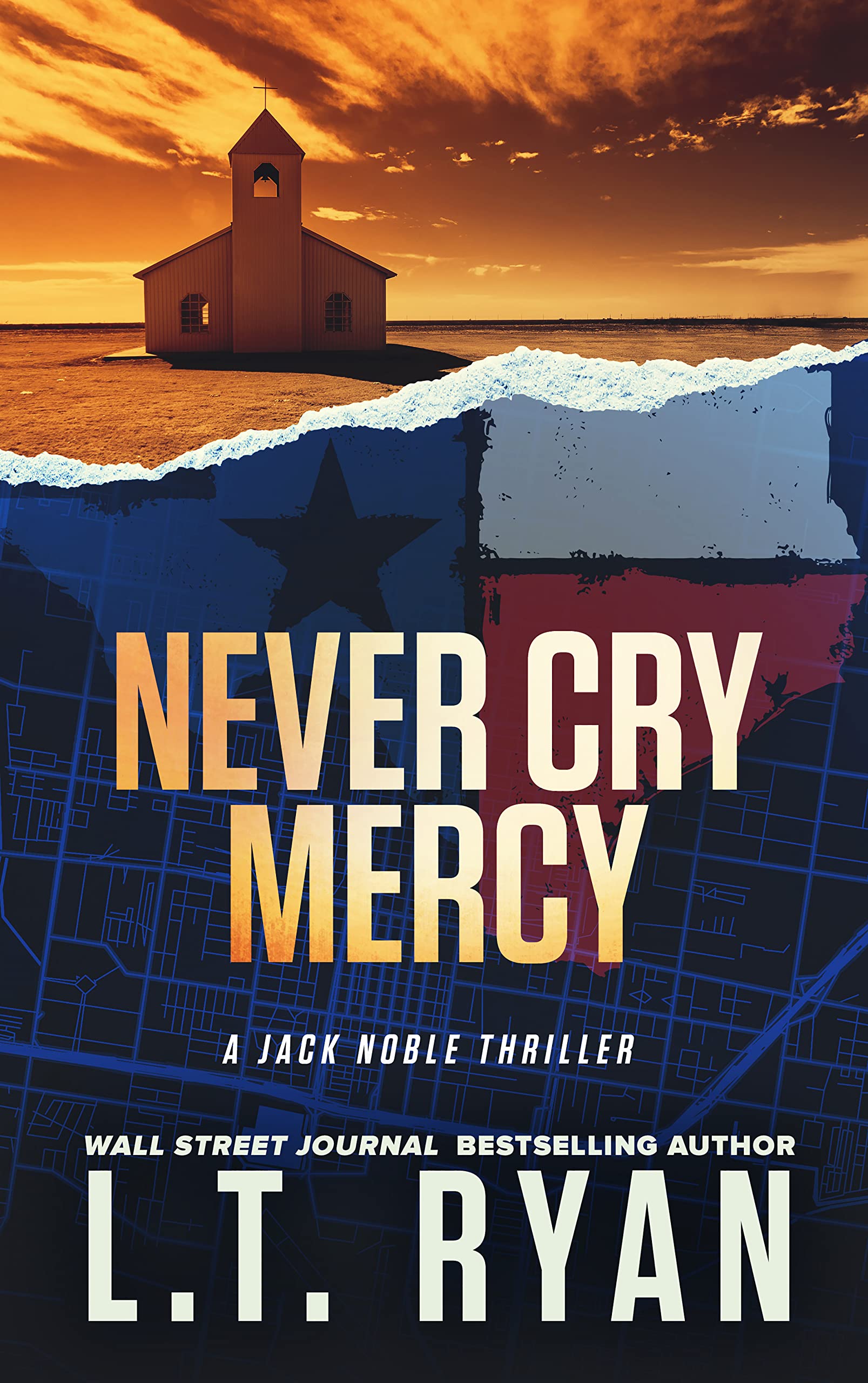 Never Cry Mercy (Jack Noble Book 10)