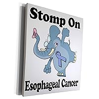 3dRose Elephant Stomp On Esophageal Cancer Awareness... - Museum Grade Canvas Wrap (cw_114540_1)