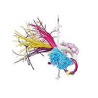 Prevue Pet Products Tropical Teasers Dynamo Bird Toy, Multicolor