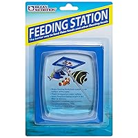 Feeding Station for fish