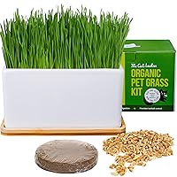 Organic Cat Grass Growing kit with Organic Seed Mix, Soil and Ceramic Planter with Bamboo Tray. Natural Hairball Control and Remedy for Cats