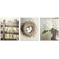 Neutral Beige Shabby Chic Farmhouse Wall Art Set of 3 SMALL 5x7” Vertical Photo Prints - Not Framed - Nest, Fence, Floral - Living Room, Bedroom or Bathroom Wall Decor