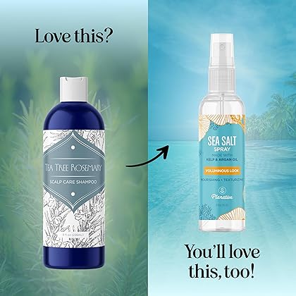 Purifying Rosemary Shampoo Sulfate Free - Lavender Rosemary and Tea Tree Shampoo for Thinning Hair and Scalp Care - Paraben and Sulfate Free Clarifying Shampoo for Build Up with Essential Oils