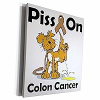 3dRose Piss On Colon Cancer Awareness Ribbon Cause Design - Museum Grade Canvas Wrap (cw_115812_1)