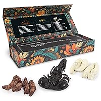 Edible Bugs Gag Gift Box - 0.85 Ounce Real Edible Flavored Insects, Funny Birthday Gifts, Weird Gifts (Scorpion & Assorted Bugs, Box of 3)