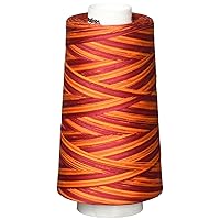 Signature Thread Machine Quilting Thread, 3000 yd, Variegated Poppy Blaze