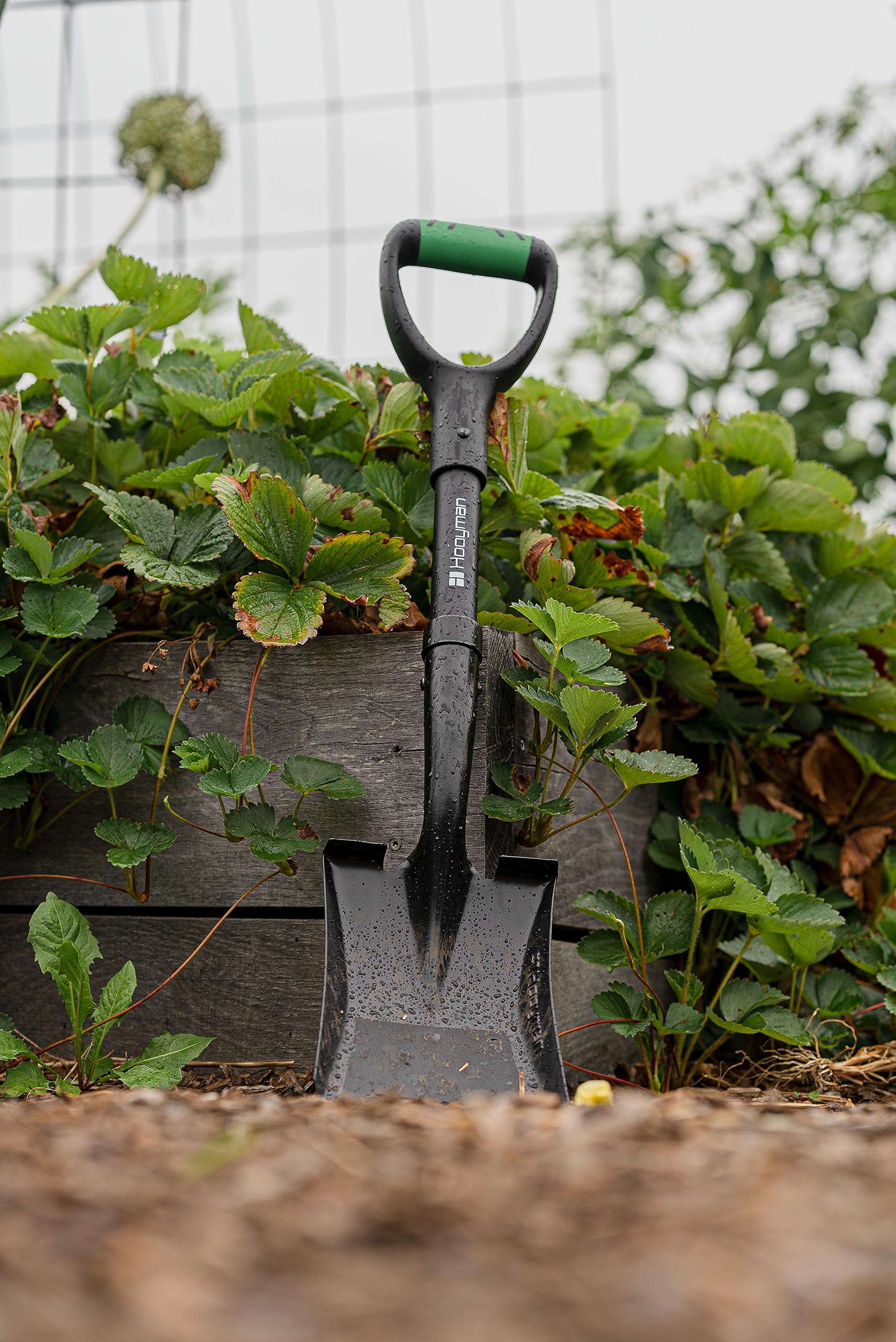 Hooyman Mini Transfer Shovel with Heavy Duty Carbon Steel Construction, Ergonomic No-Slip H-Grip Handles, D Handle, and Oversized Steps for Gardening, Land Management, Yardwork, Farming, and Outdoors