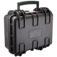 Amazon Basics Small Hard Camera Carrying Case, 12 x 11 x 6 Inches, Black, Solid