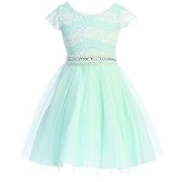 BNY Corner Floral Lace Top Tulle Flower Holiday Party Flower Girl Dress USA