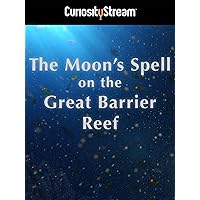 The Moon's Spell On The Great Barrier Reef