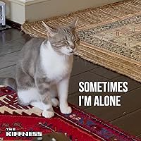 Sometimes I'm Alone (Lonely Cat)