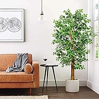 6.6ft Faux Black Olive Tree, 79'' Tall Faux Trees Indoor with Natural Trunk and Realistic Leaves, 6.6 Feet Artificial Tree Silk Tree for Home Decor Indoor Office Living Room Floor