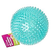 Gnawsome™ 4.5” Spiky Squeaker Ball Dog Toy - Extra Large, Cleans Teeth and Promotes Good Dental and Gum Health for Your Pet, Colors will vary, 4.5