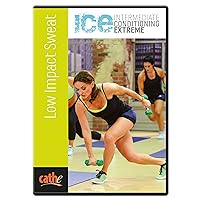 Cathe Friedrich's ICE Low Impact Sweat Workout DVD For Women - Use This Joint Friendly DVD For Cardio Fitness At Home