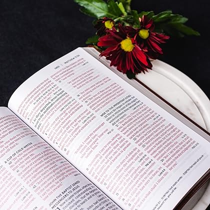 NKJV, End-of-Verse Reference Bible, Personal Size Large Print, Leathersoft, Brown, Red Letter, Comfort Print: Holy Bible, New King James Version