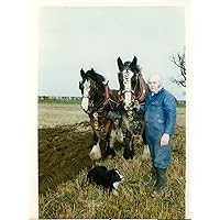 Martin Kemp of Thickthorn Farm Colney. - Vintage Press Photo