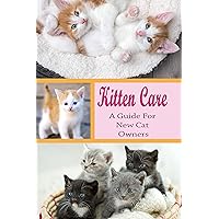 Kitten Care: A Guide for New Cat Owners: Fun Cat Facts For Kids